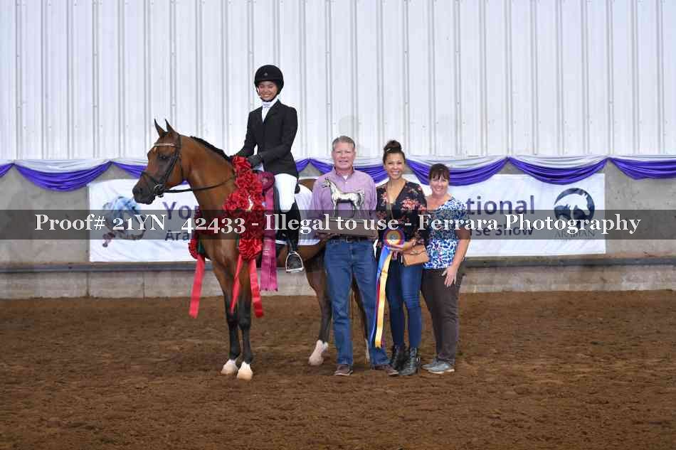 Proof 21YN_42433