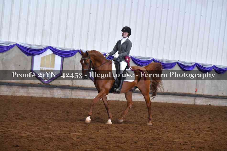 Proof 21YN_42453