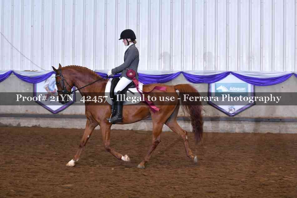 Proof 21YN_42457