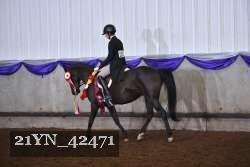 21YN_42471 proof