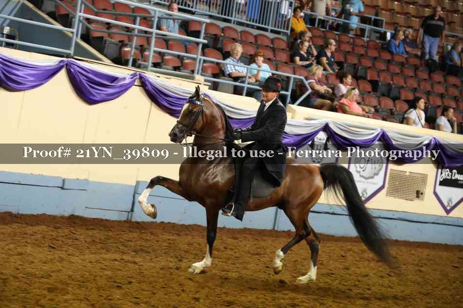 Proof 21YN_39809