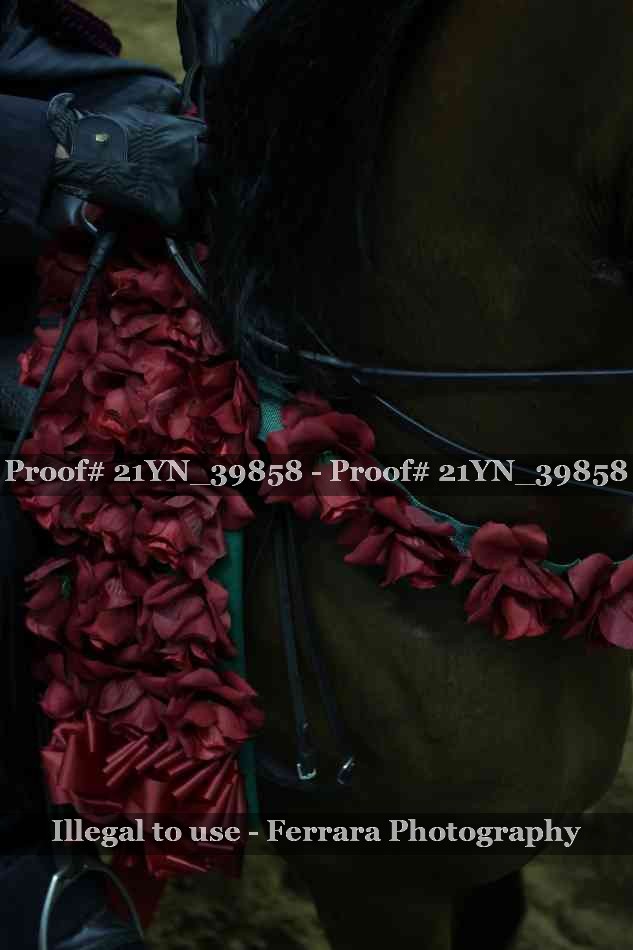 Proof 21YN_39858