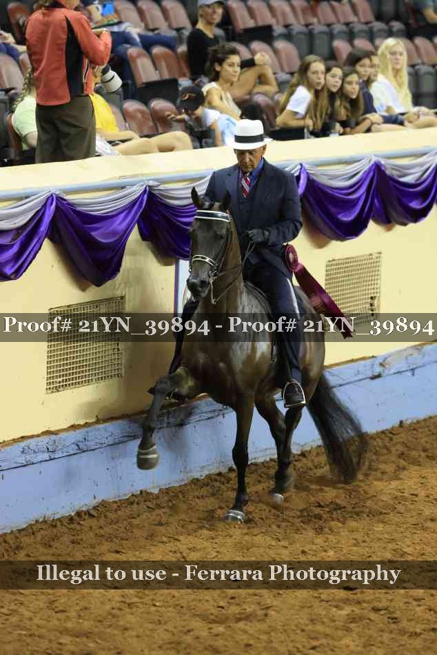 Proof 21YN_39894