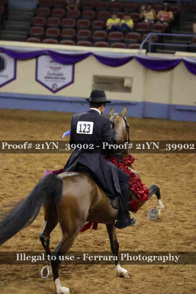 Proof 21YN_39902