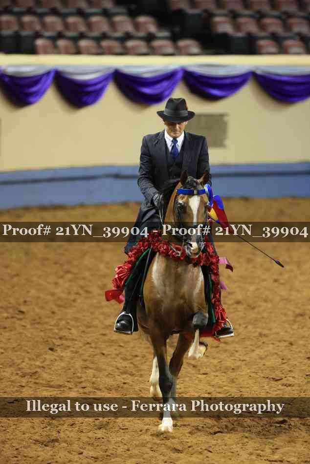 Proof 21YN_39904