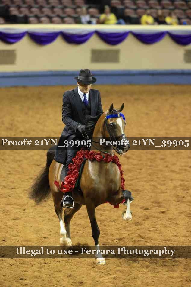 Proof 21YN_39905