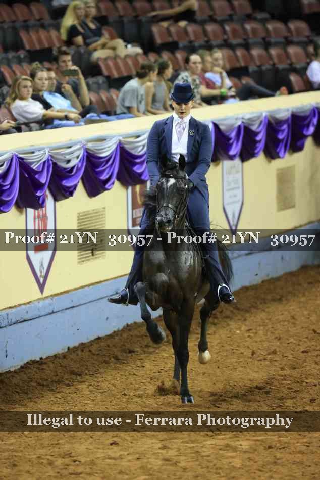 Proof 21YN_30957