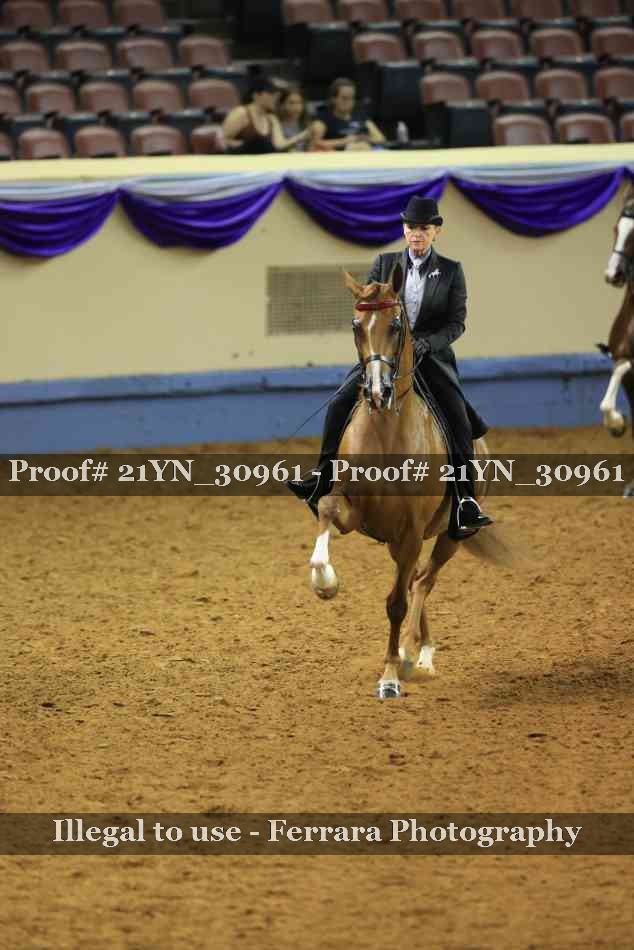 Proof 21YN_30961