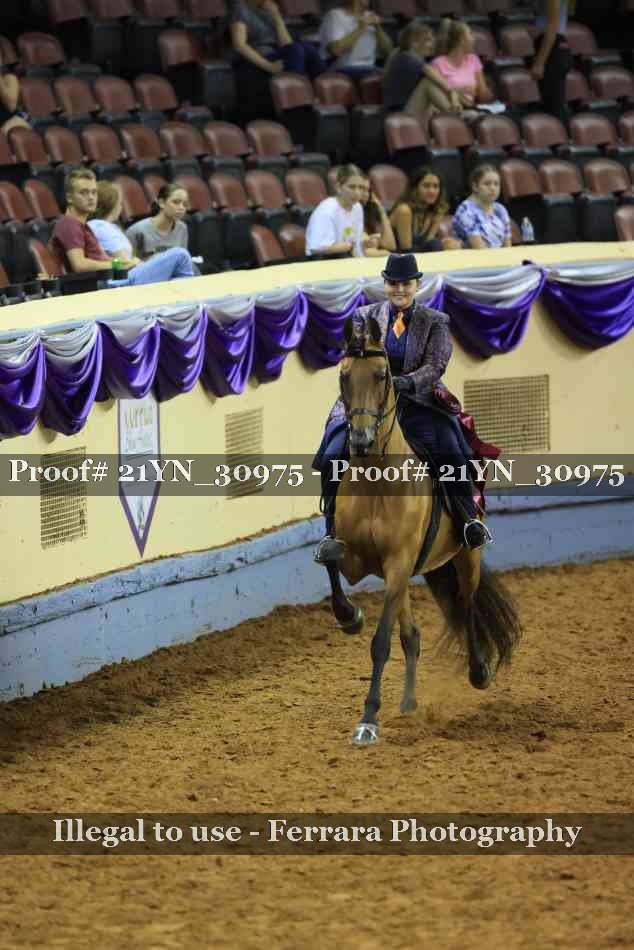 Proof 21YN_30975