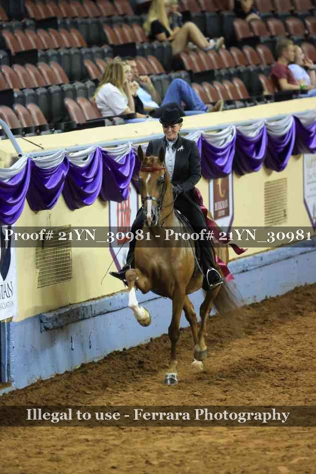 Proof 21YN_30981