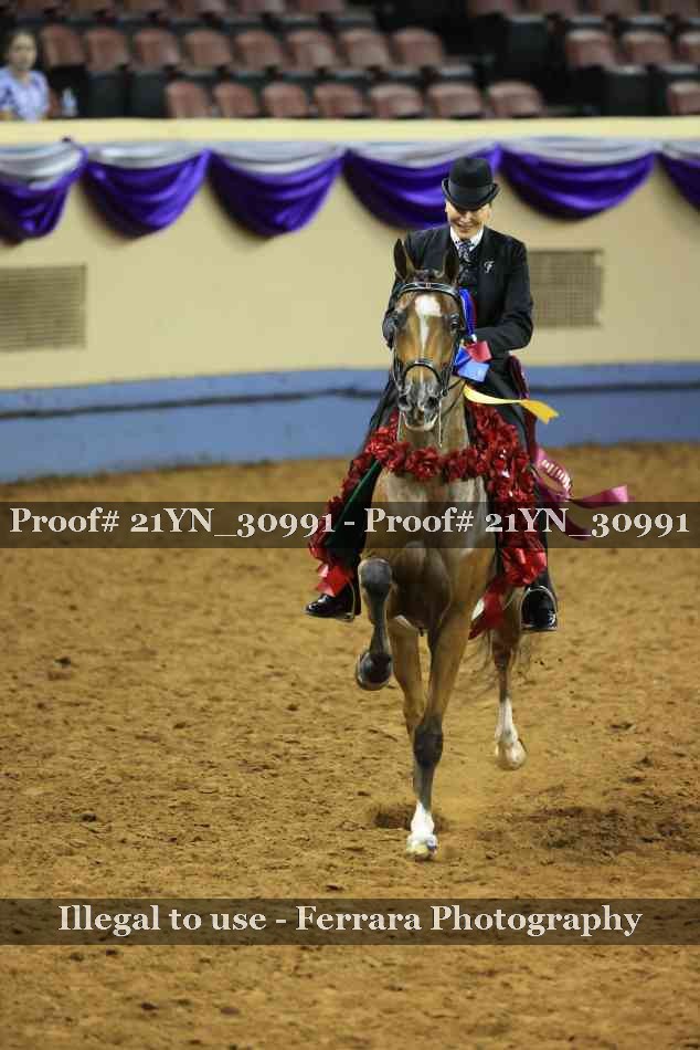 Proof 21YN_30991