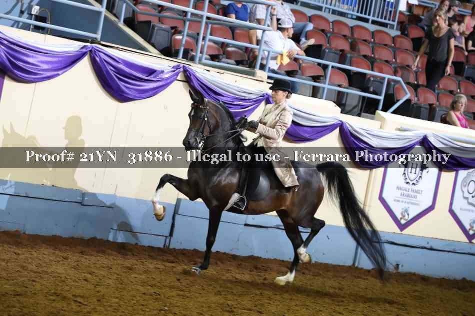 Proof 21YN_31886