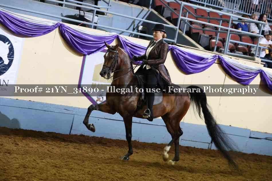 Proof 21YN_31890