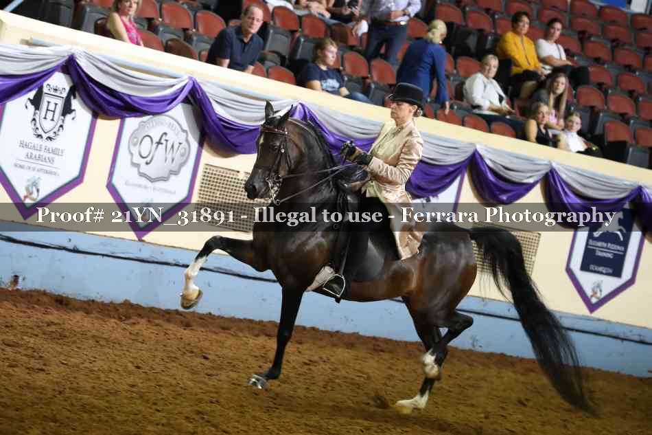 Proof 21YN_31891