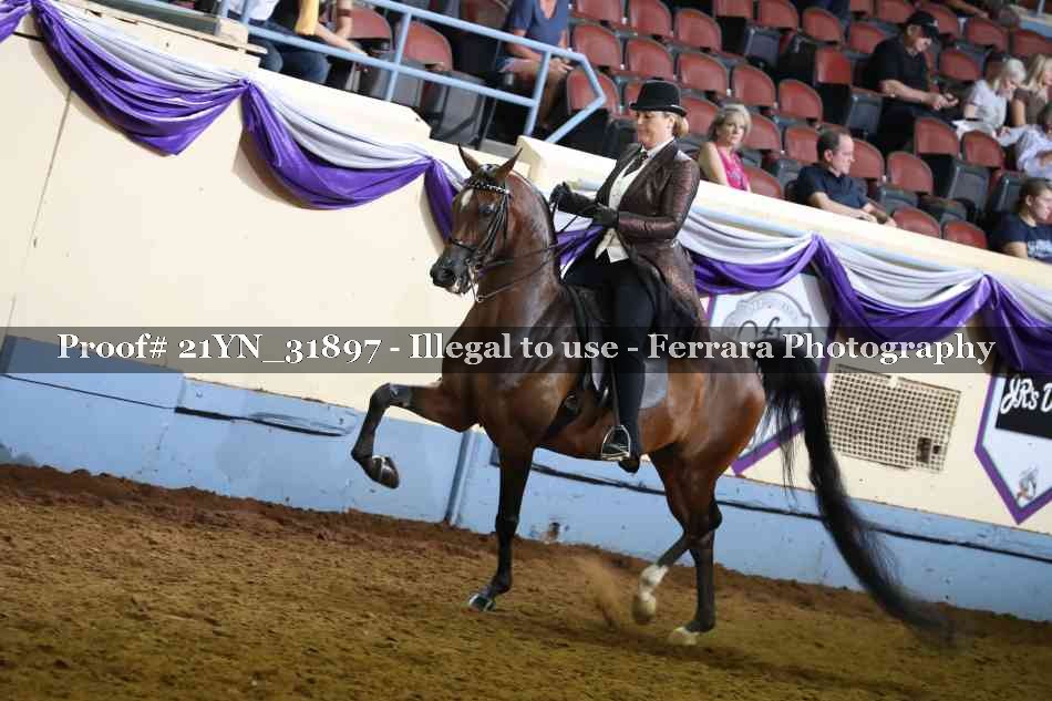 Proof 21YN_31897