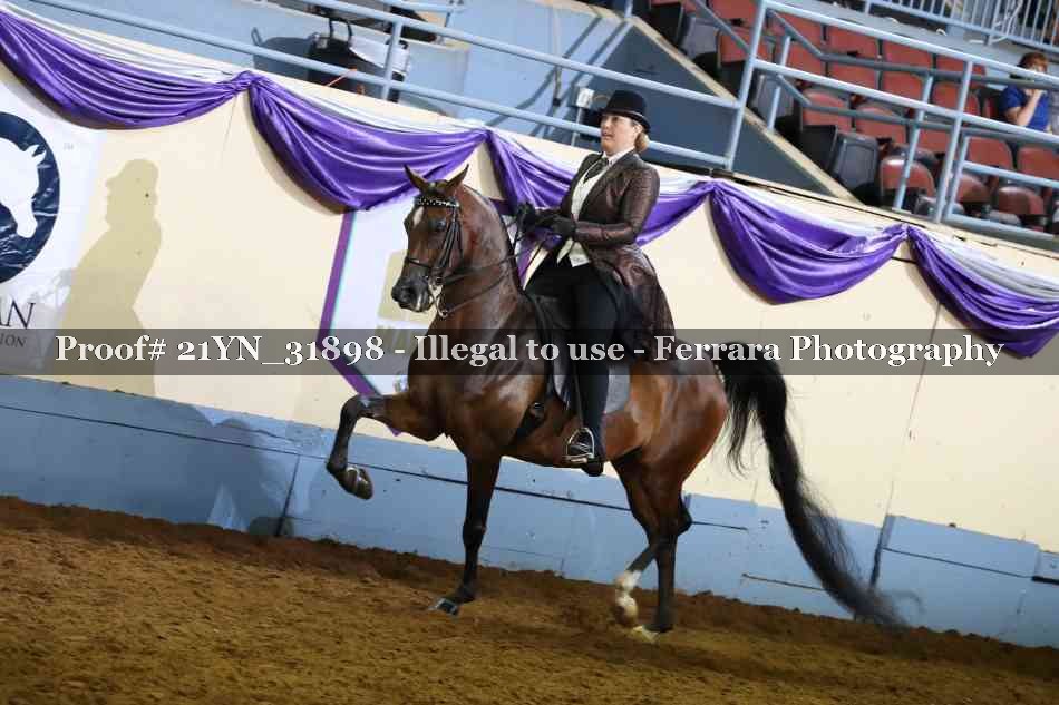 Proof 21YN_31898