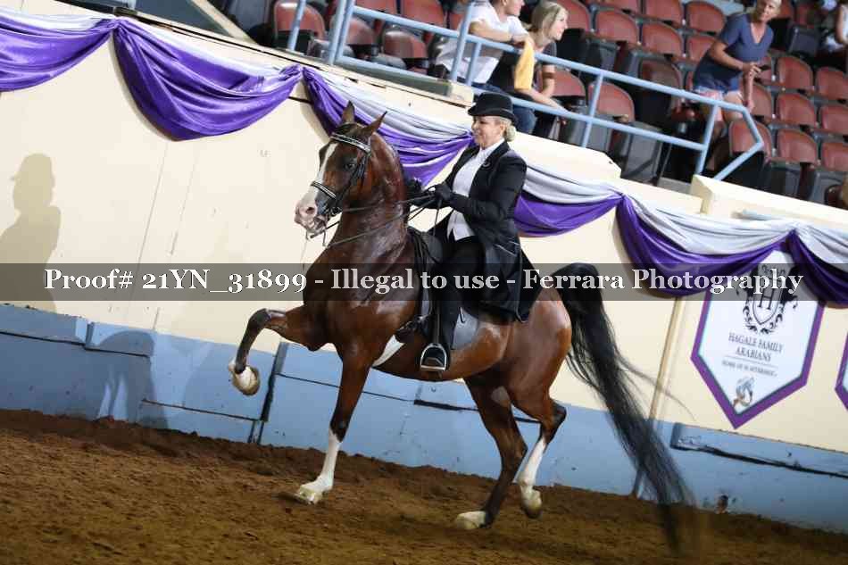 Proof 21YN_31899