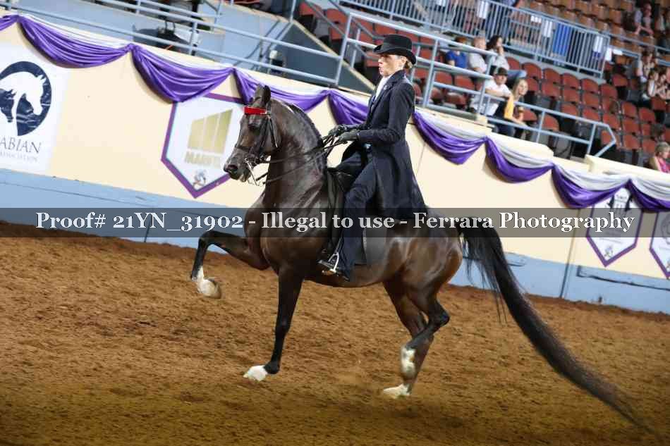 Proof 21YN_31902