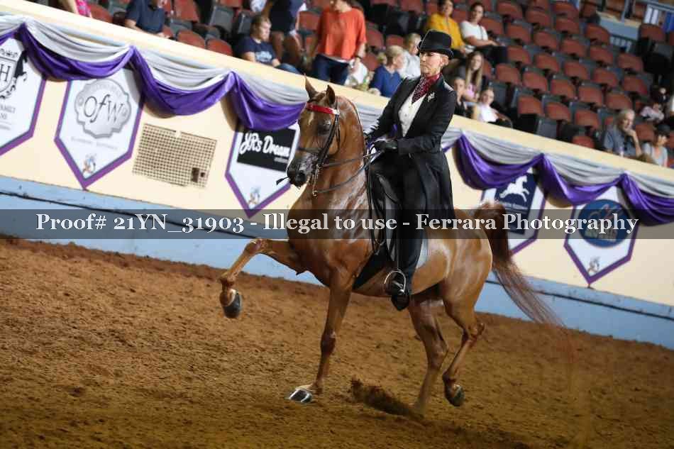 Proof 21YN_31903