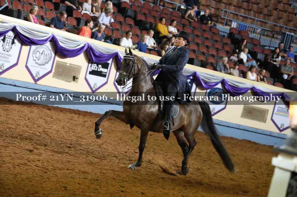 Proof 21YN_31906