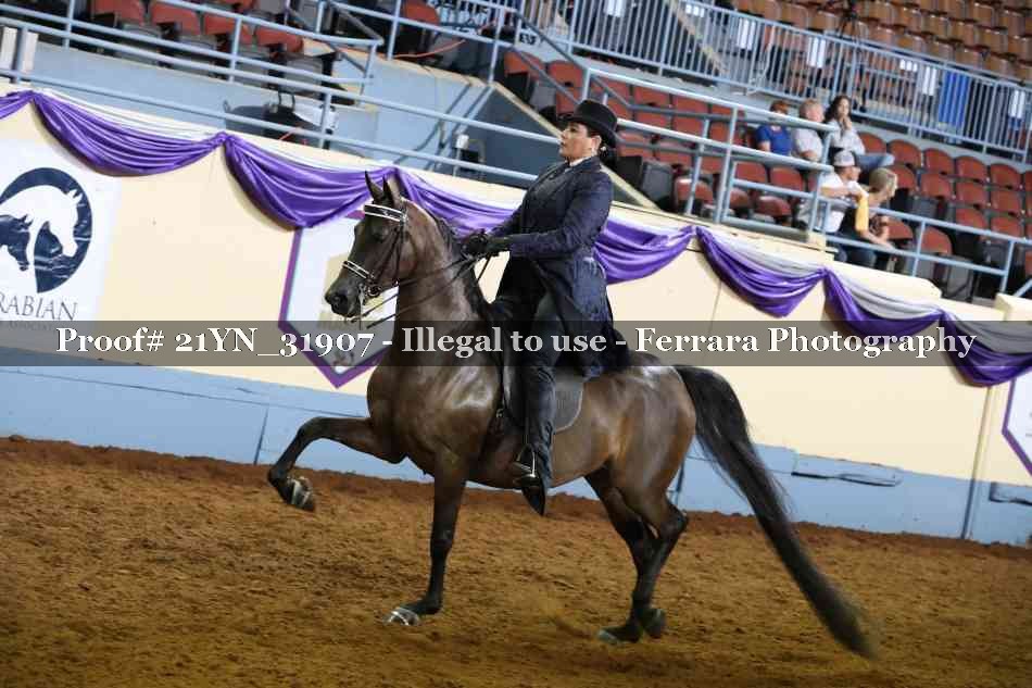 Proof 21YN_31907