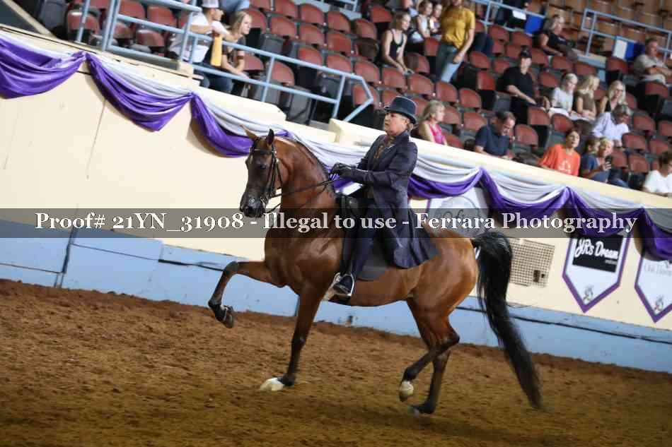 Proof 21YN_31908
