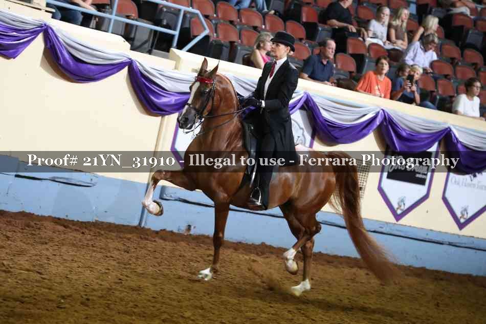 Proof 21YN_31910