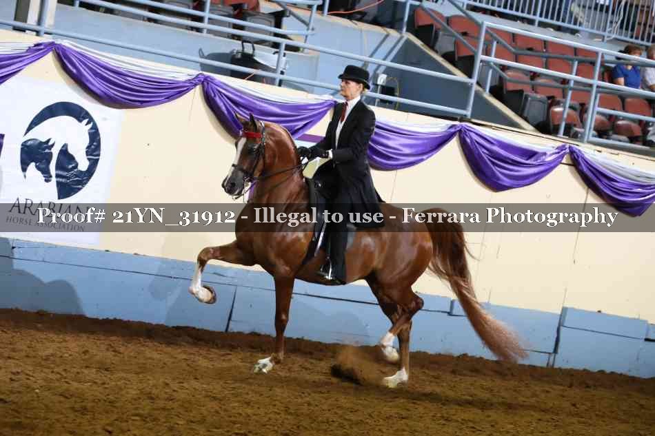 Proof 21YN_31912