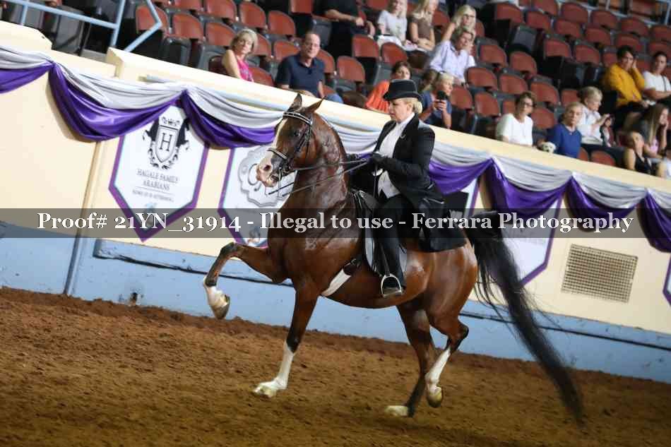 Proof 21YN_31914