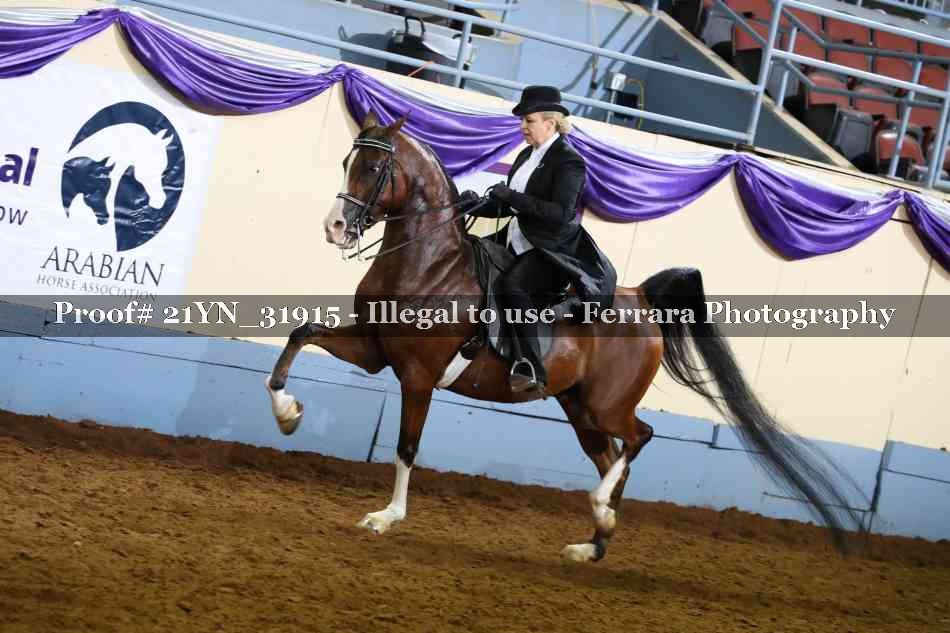 Proof 21YN_31915