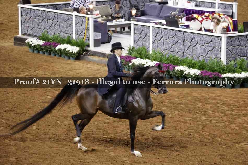 Proof 21YN_31918