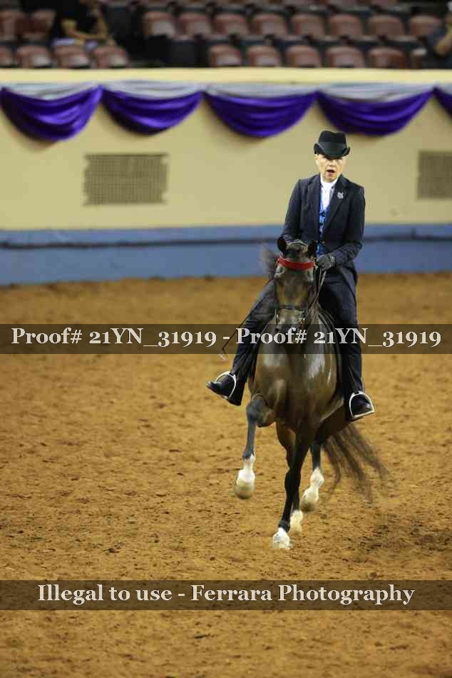 Proof 21YN_31919