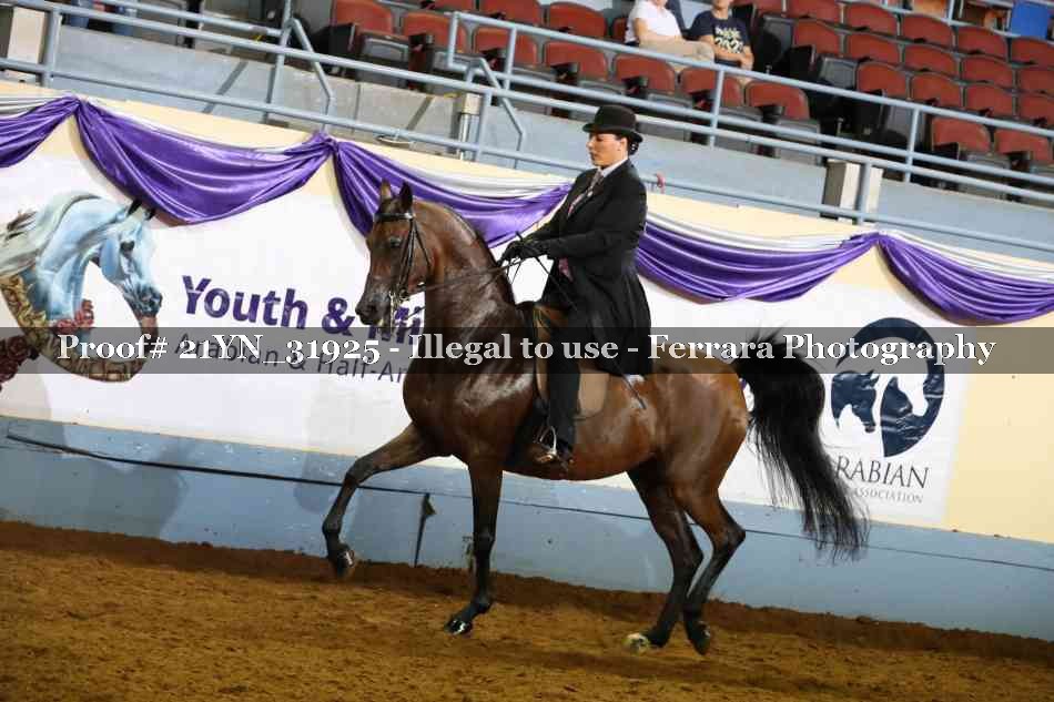 Proof 21YN_31925