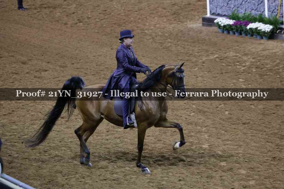 Proof 21YN_31927