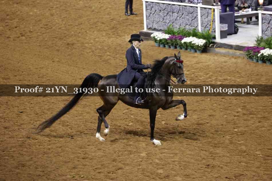 Proof 21YN_31930
