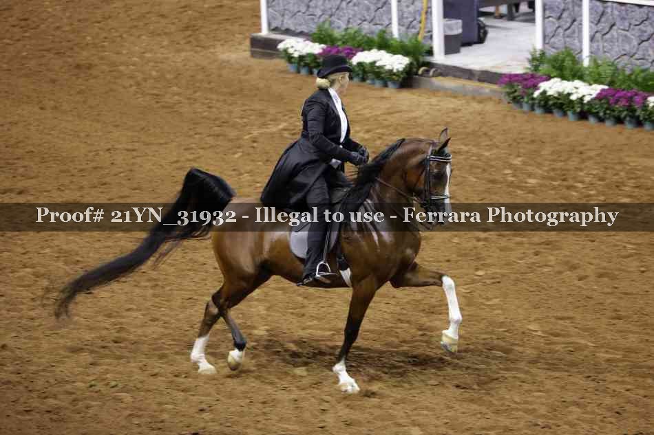 Proof 21YN_31932