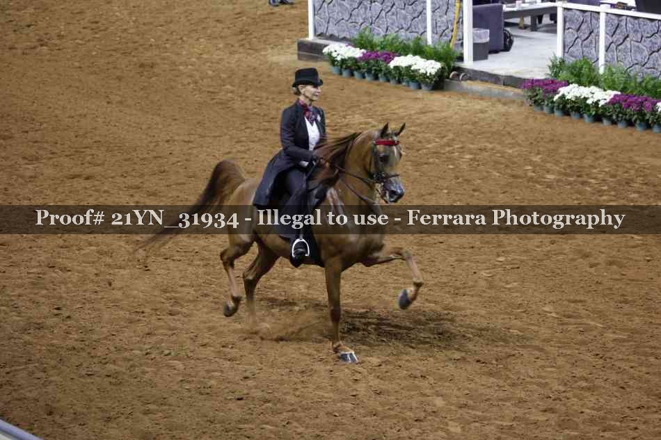 Proof 21YN_31934