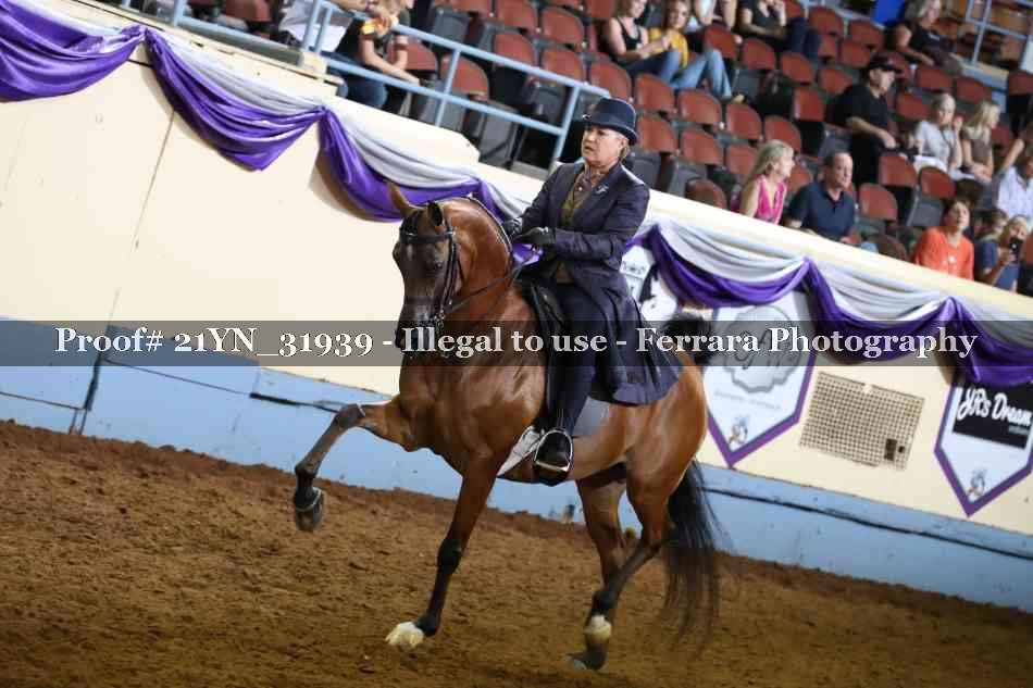 Proof 21YN_31939