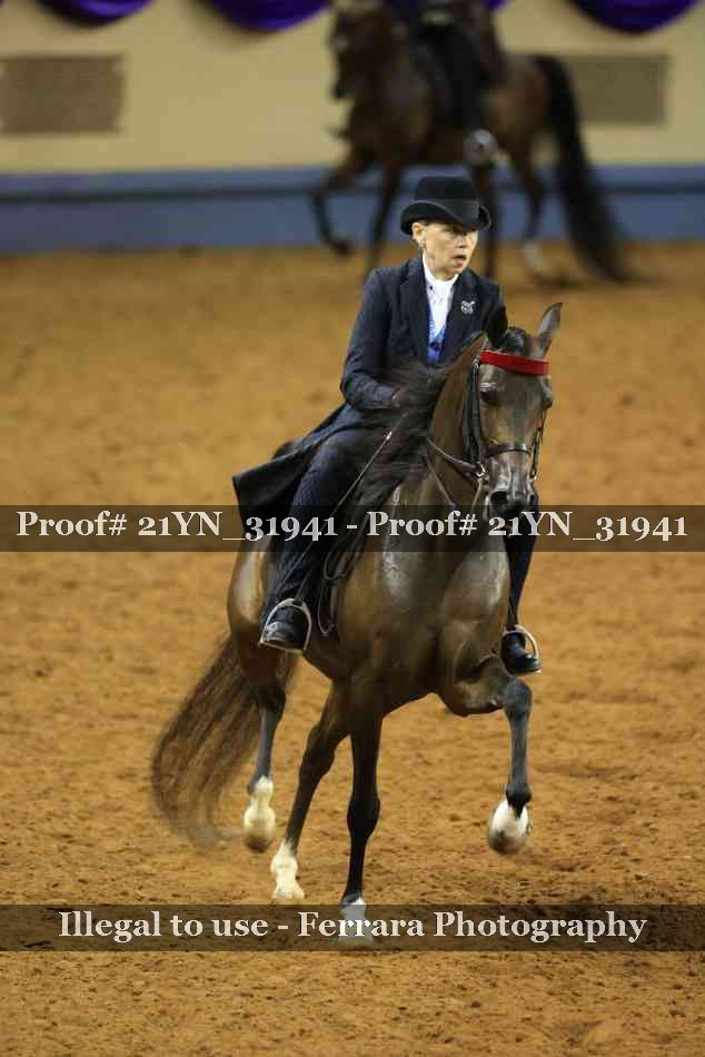 Proof 21YN_31941