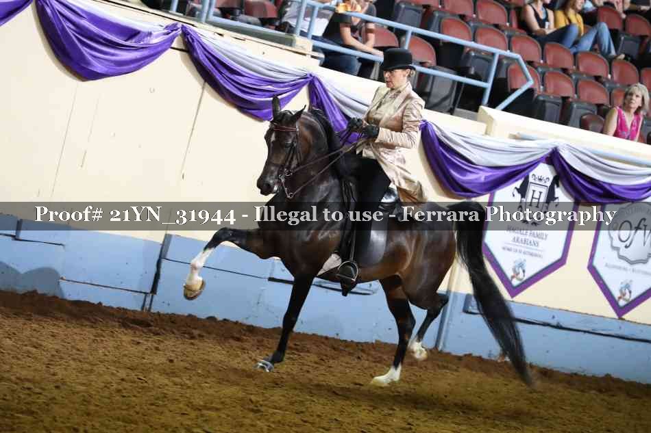 Proof 21YN_31944
