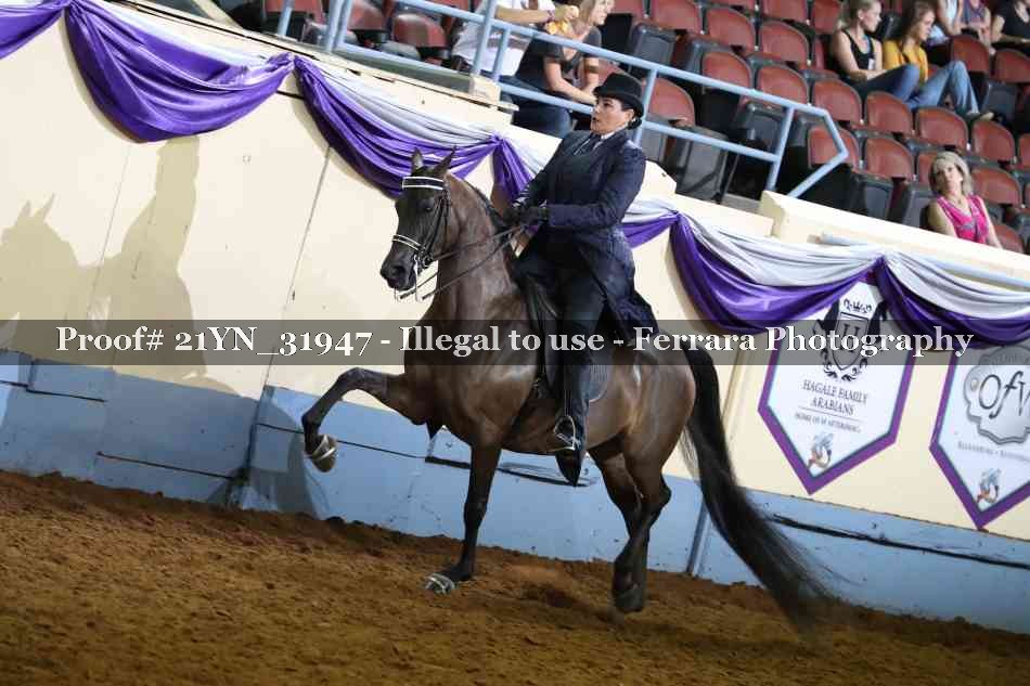 Proof 21YN_31947