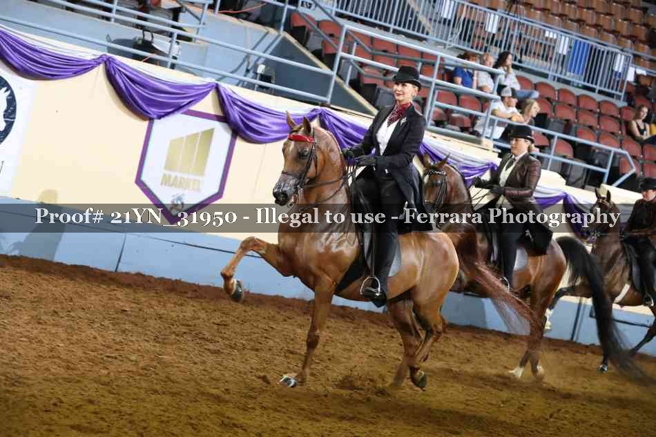 Proof 21YN_31950
