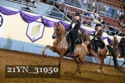 21YN_31950 proof