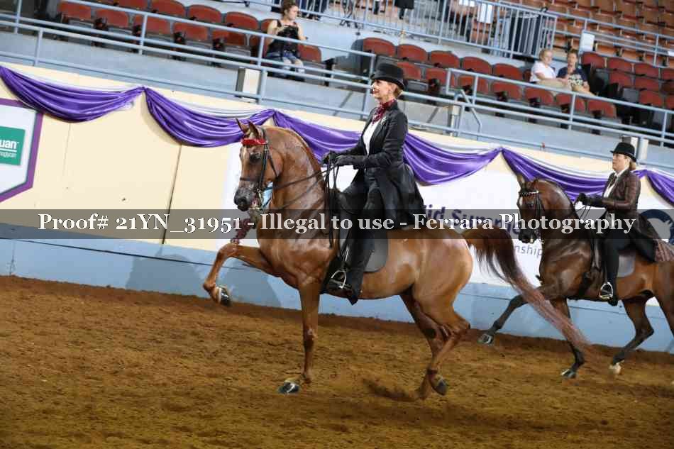 Proof 21YN_31951