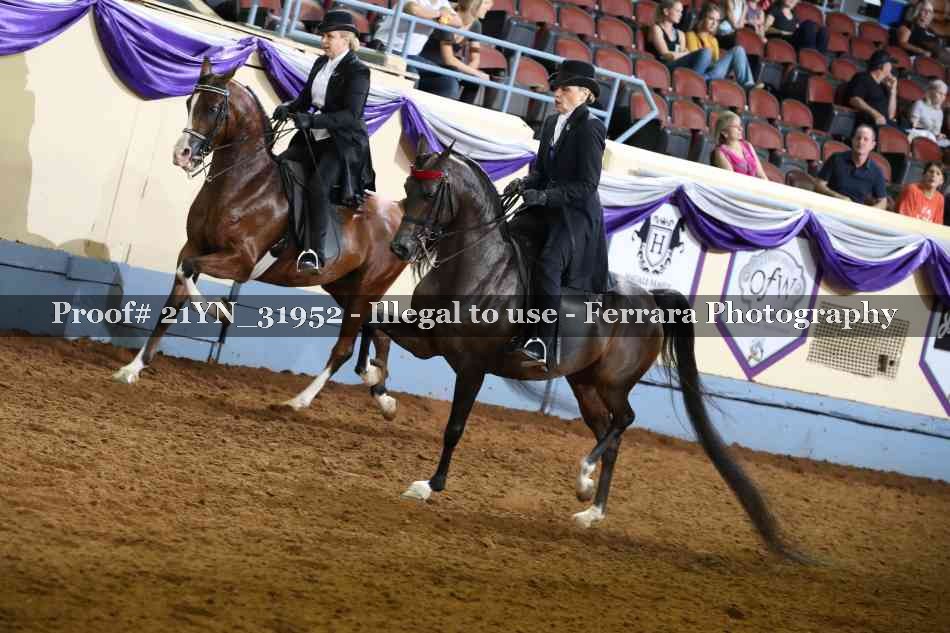 Proof 21YN_31952