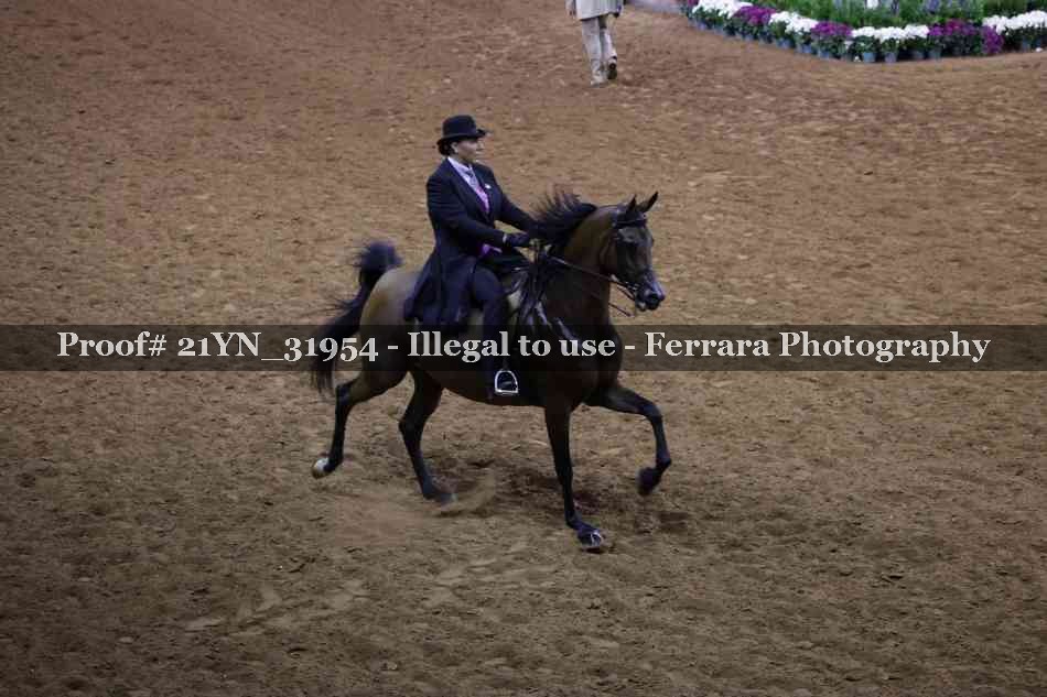 Proof 21YN_31954