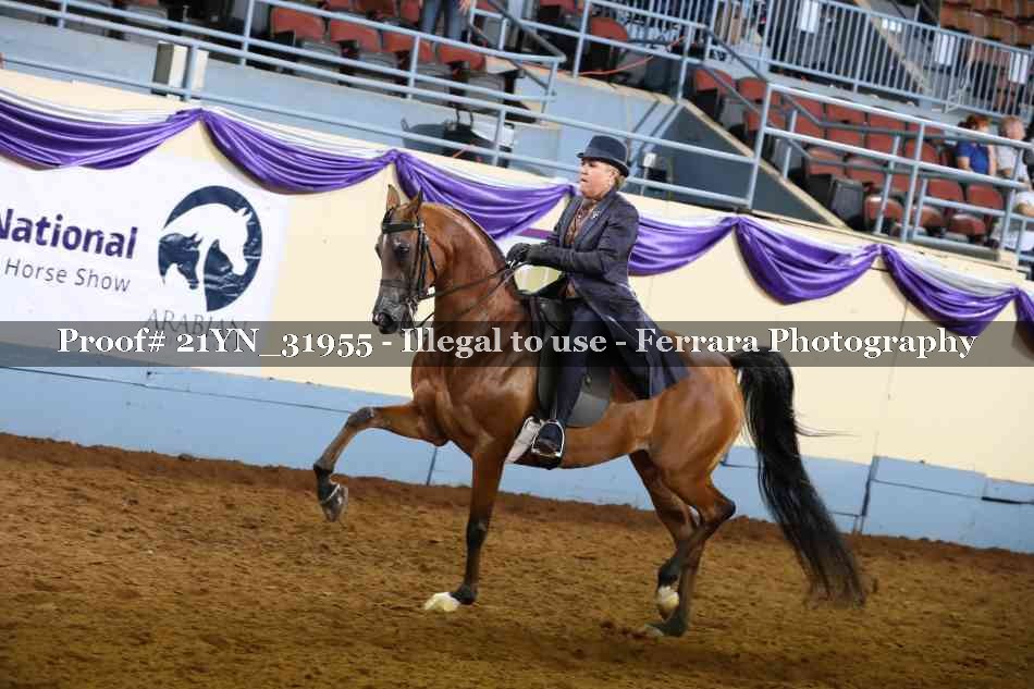 Proof 21YN_31955