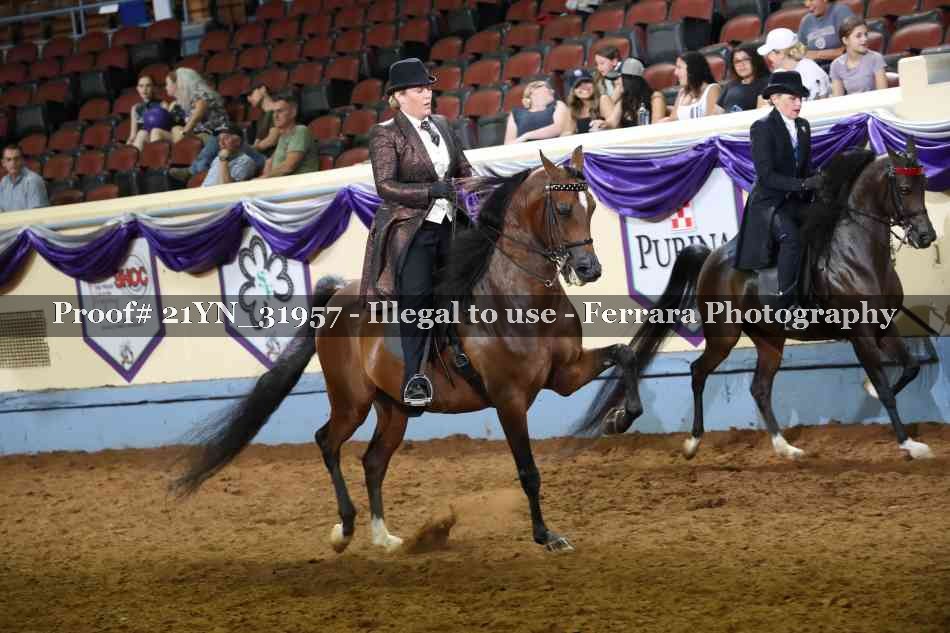 Proof 21YN_31957