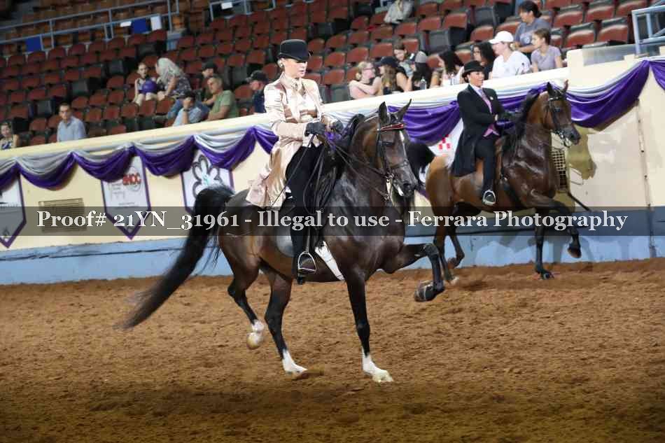 Proof 21YN_31961