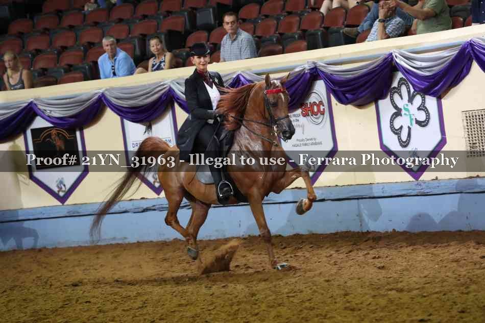 Proof 21YN_31963
